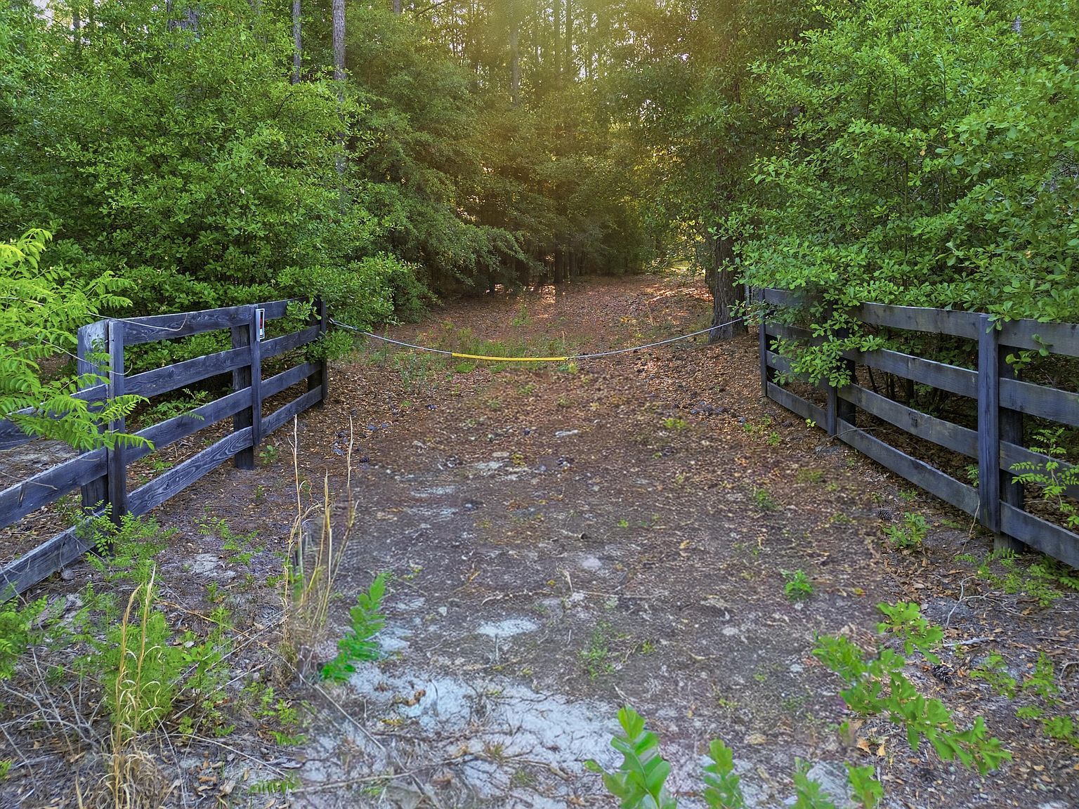 S Dixie Rd Wagener, SC 29164 - Thumbnail 3