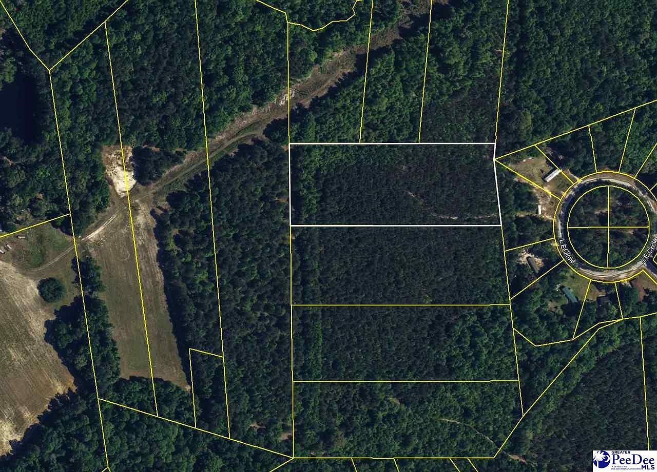 4.87 Acres Tract #B2 Pamplico, SC 29583 - Thumbnail 3