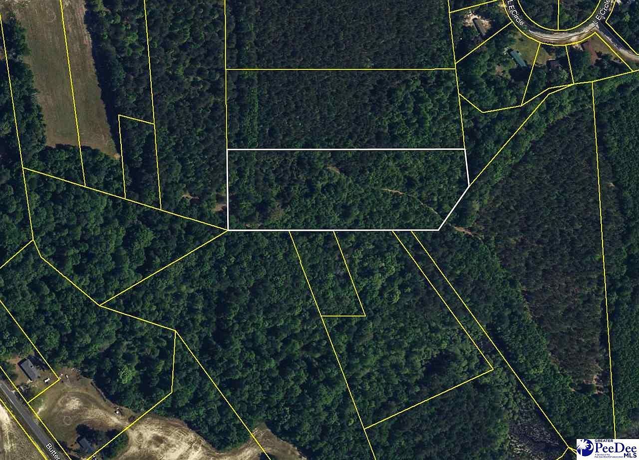 4.87 Acres Tract #E2 Pamplico, SC 29583 - Thumbnail 3