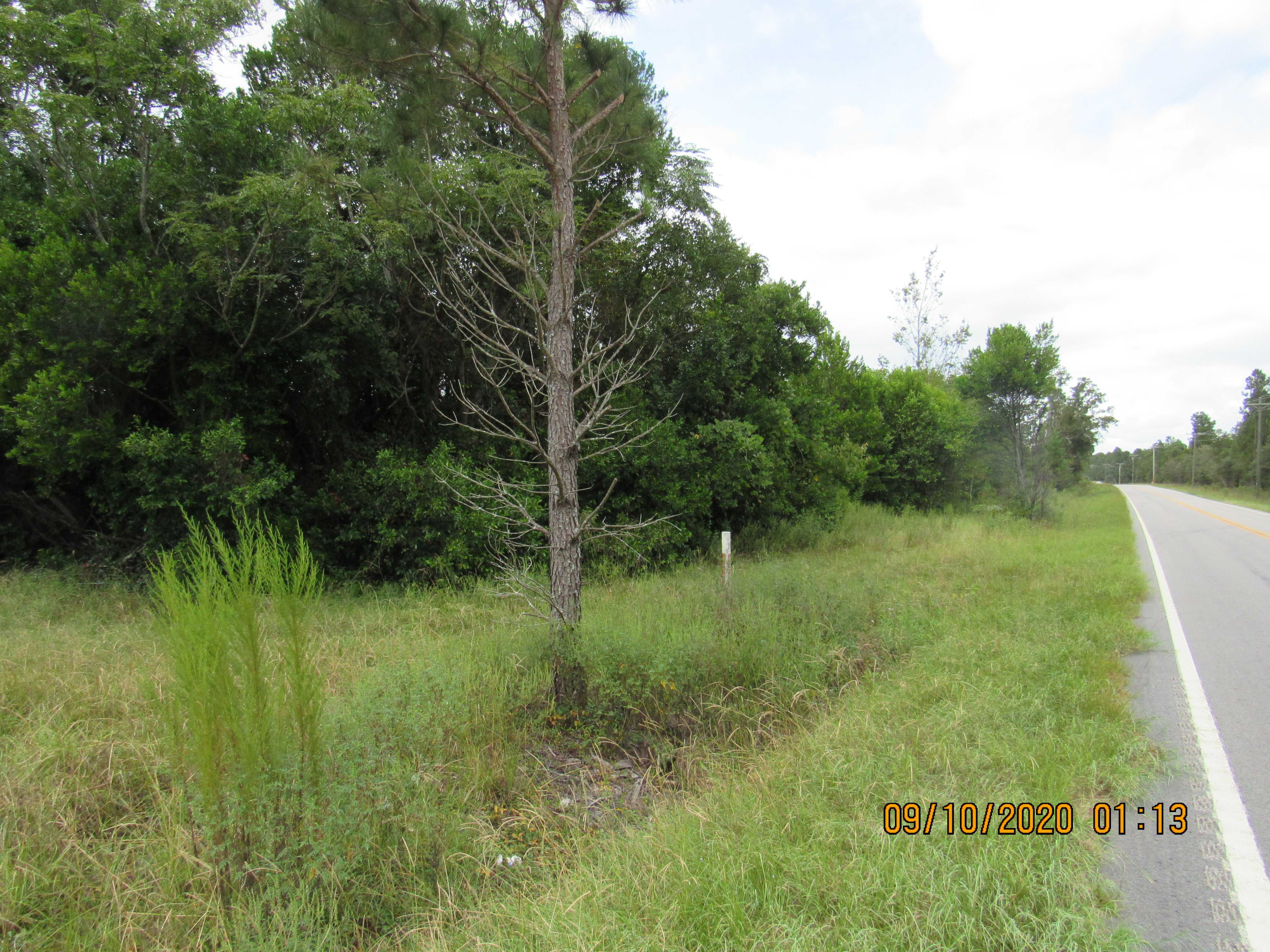 0 Wire Road, Monetta, SC, 29105 - Thumbnail 3