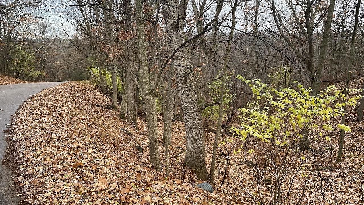 L27-29 Hillside Dr #27-29 Wisconsin Dells, WI 53965 - Thumbnail 3