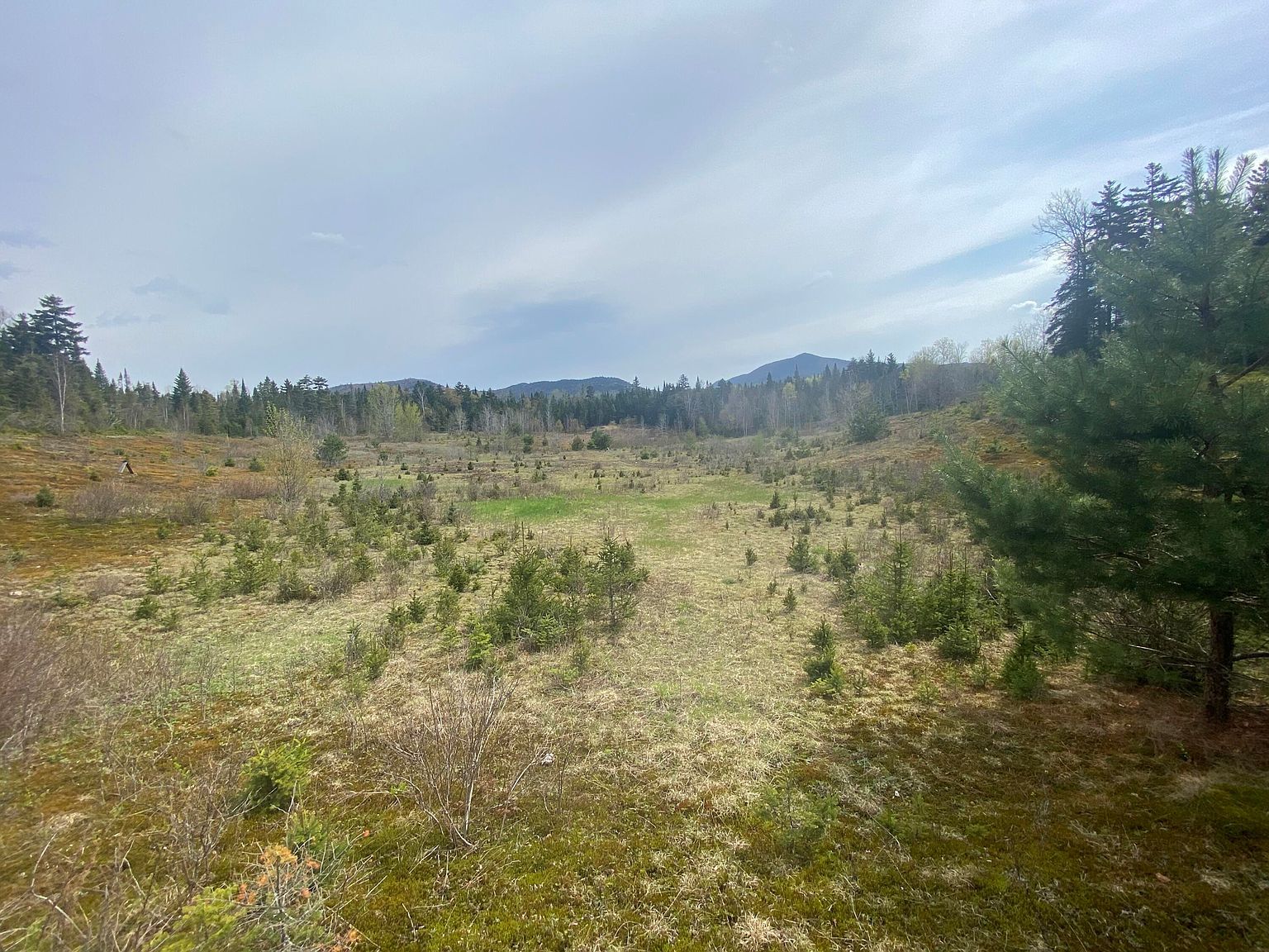 4525 Cascade Rd Lake Placid, NY 12946 - Thumbnail 3