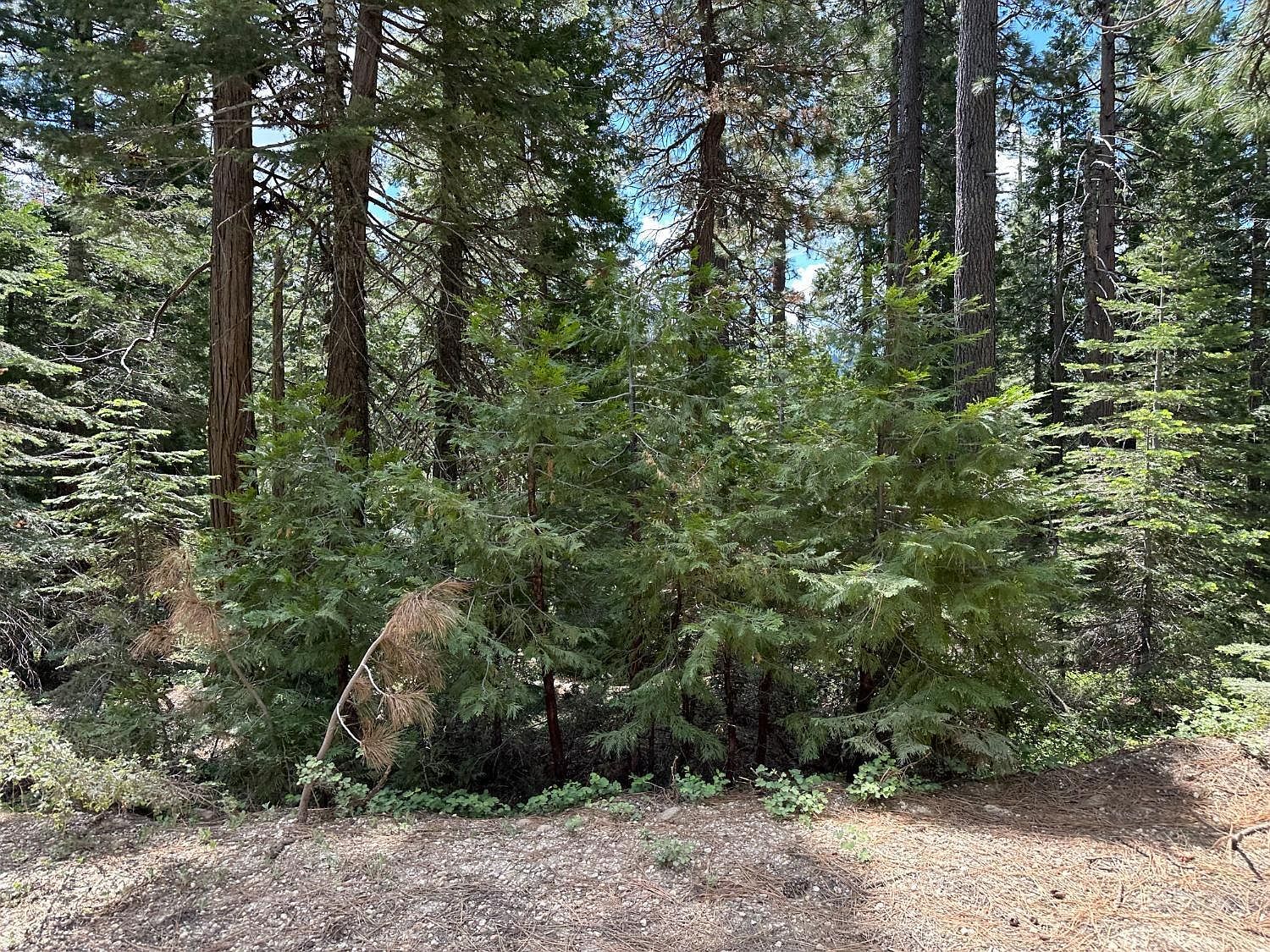 32776 Gaston Rd Nevada City, CA 95959 - Thumbnail 3