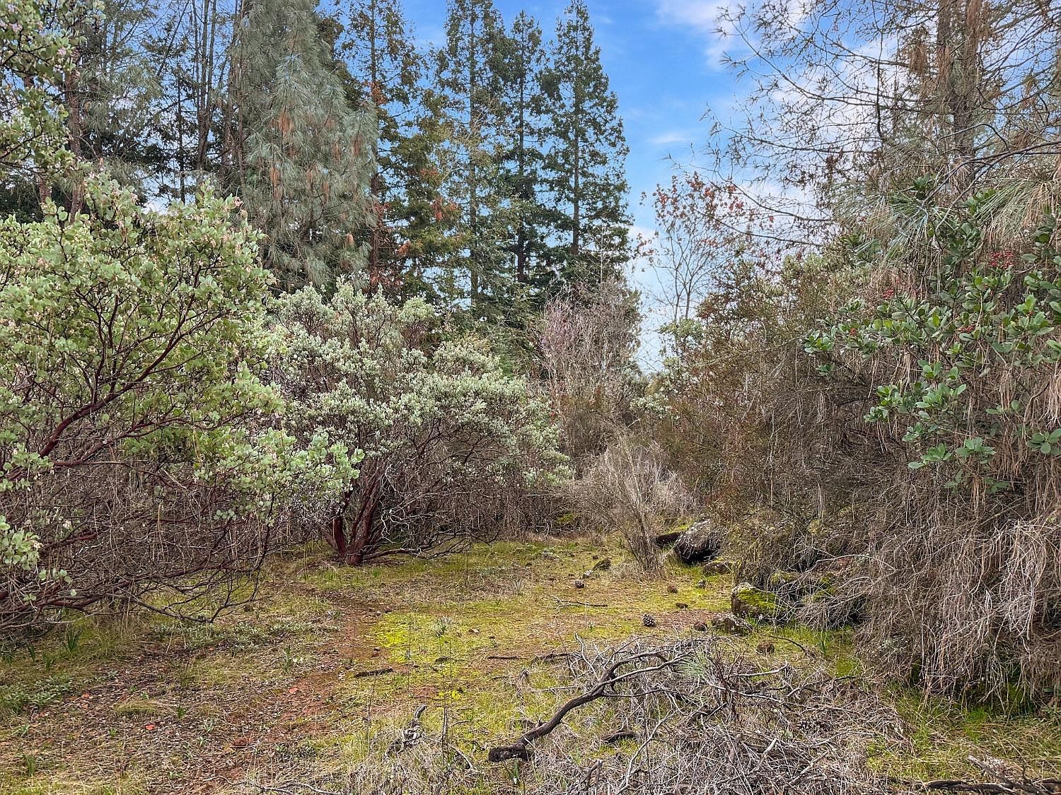 1111 Woodside Way Shingle Springs, CA 95682 - Thumbnail 3