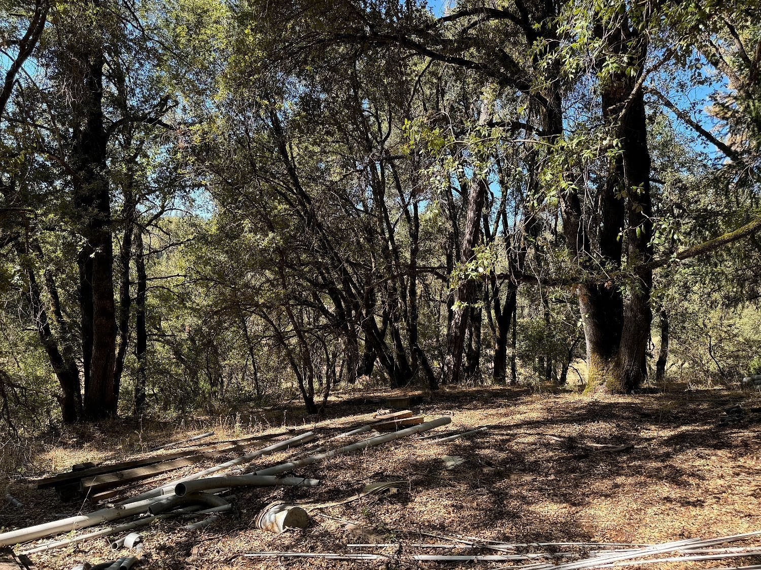 15539 Norvin Way Grass Valley, CA 95949 - Thumbnail 3