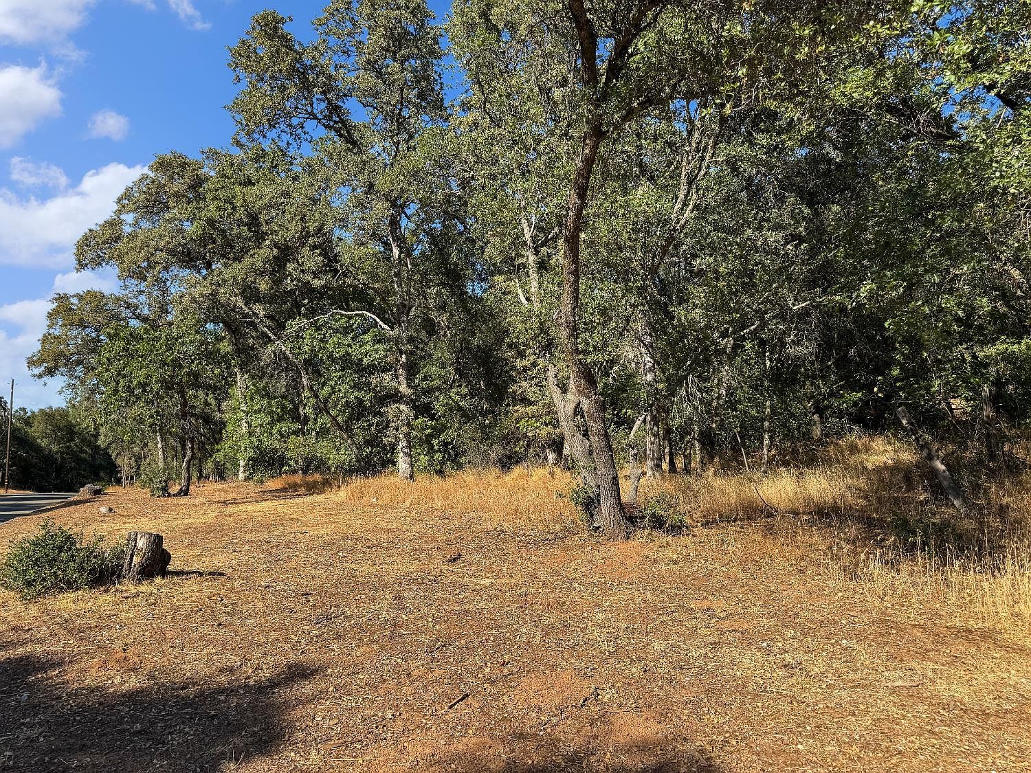 1001 Old Airport Rd Auburn, CA 95603 - Thumbnail 3