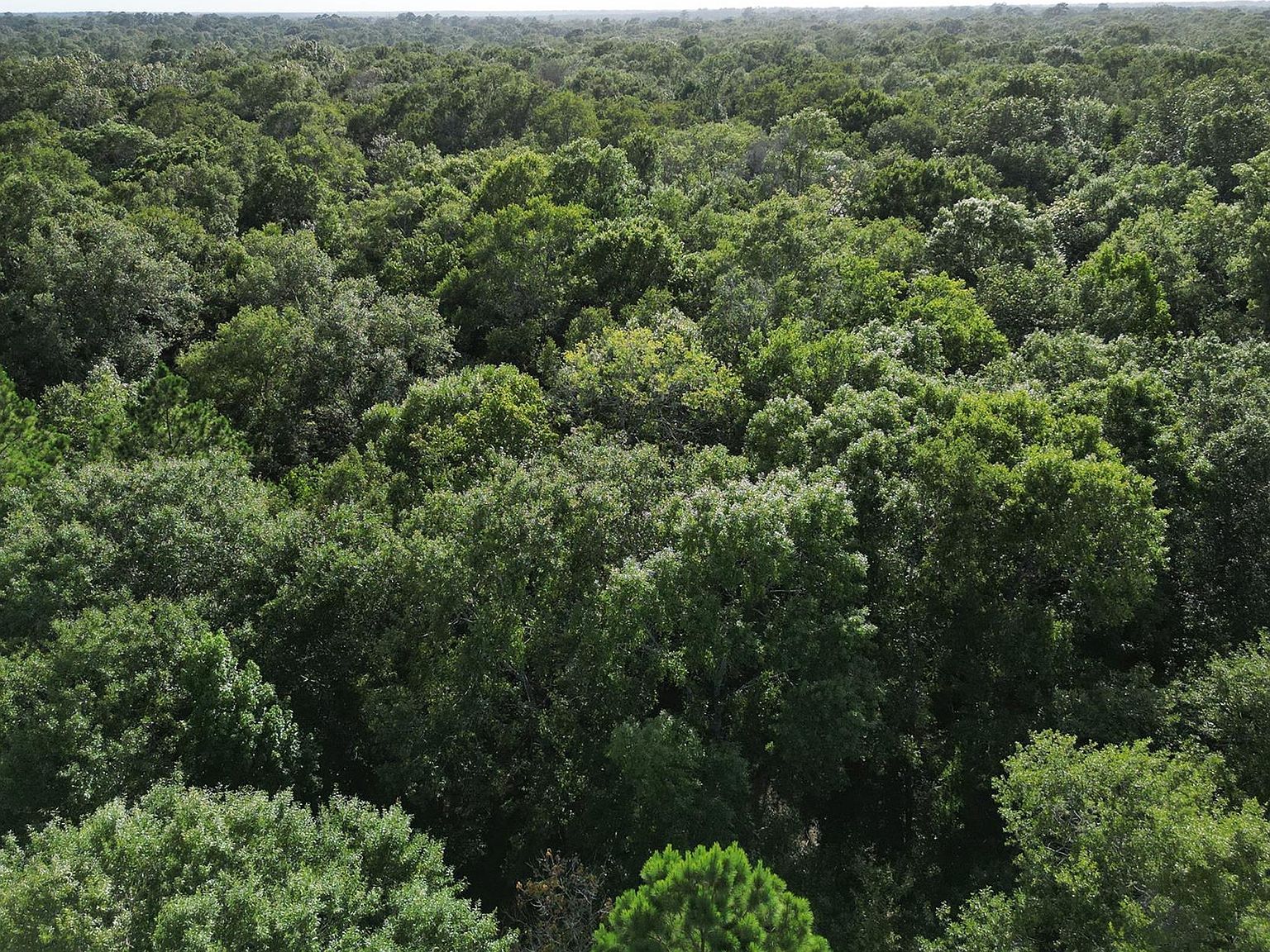 0 Highway 326 N Kountze, TX 77625 - Thumbnail 3