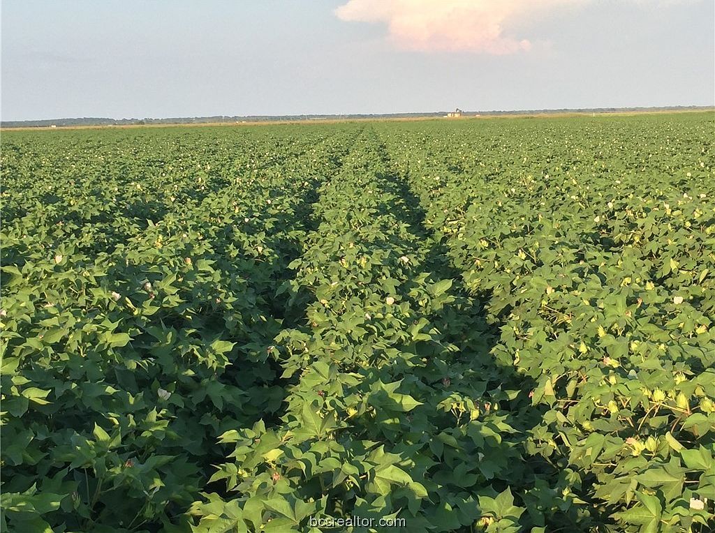 12485 Sandy Point Rd Bryan, TX 77807 - Thumbnail 3