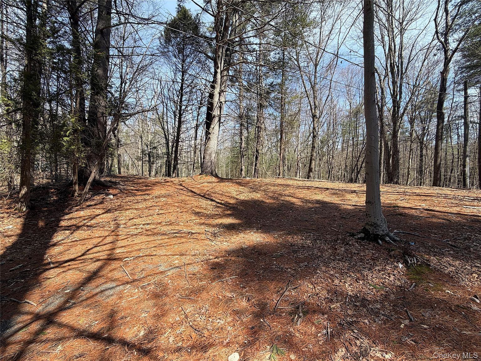 42 Yorkville Park Rd Bloomingburg, NY 12721 - Thumbnail 3