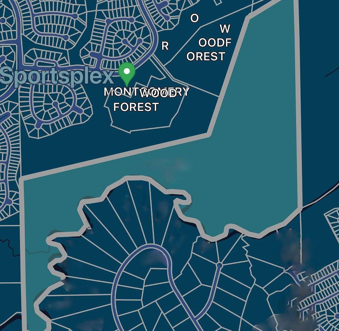 110 Cadence Ct Montgomery, TX 77316 - Thumbnail 3