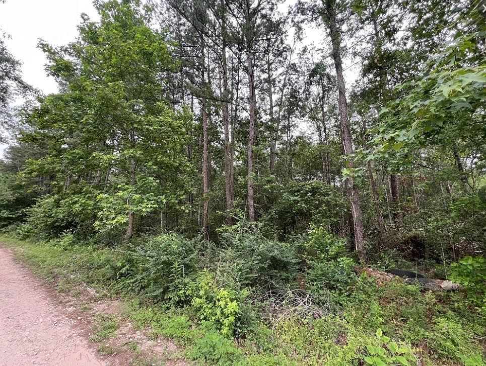 19165 & 19169 Yorkshire LOT 60-61, New Caney, TX, 77357 - Thumbnail 3