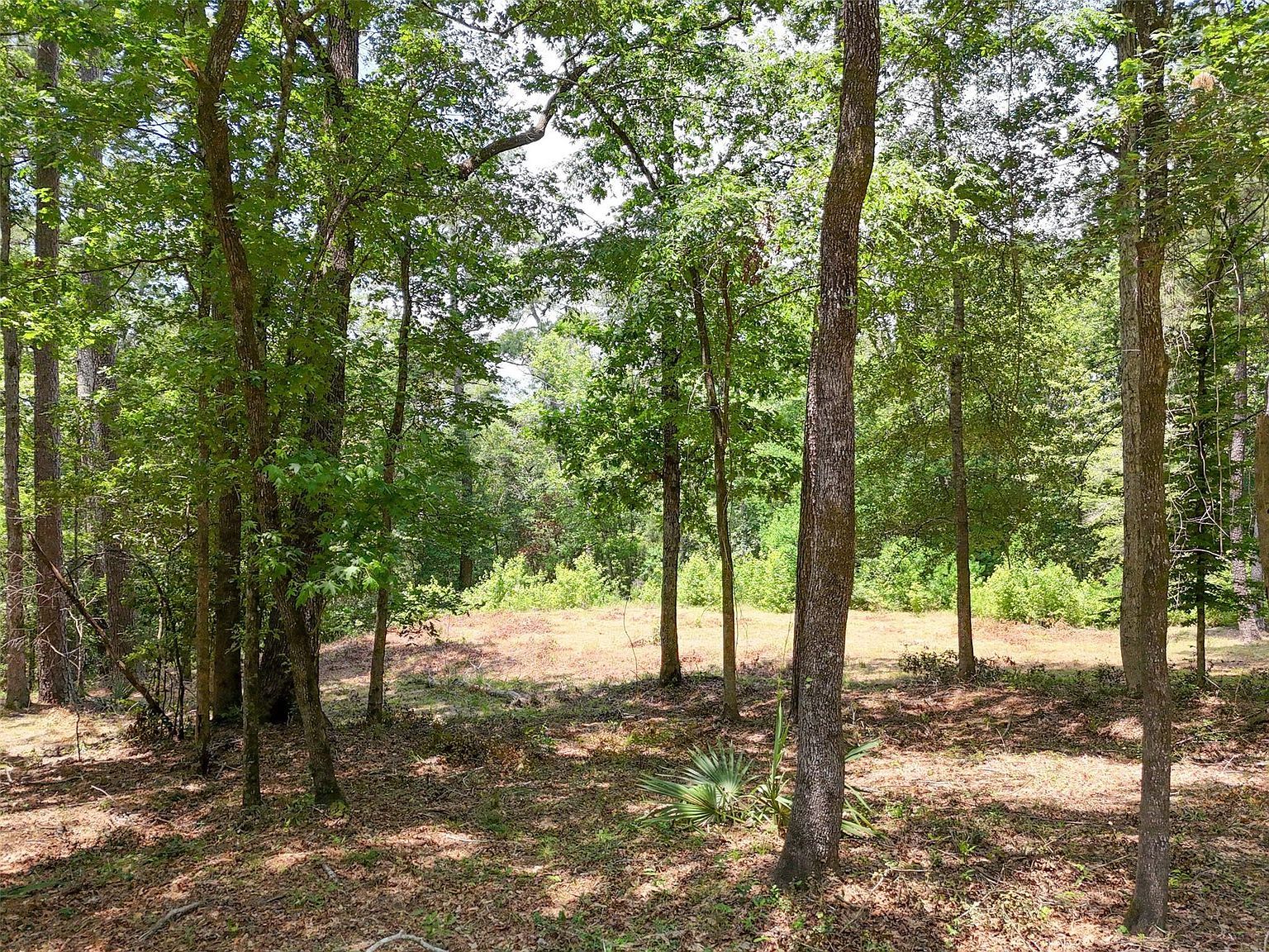 7393 Teaswood Dr Conroe, TX 77304 - Thumbnail 3