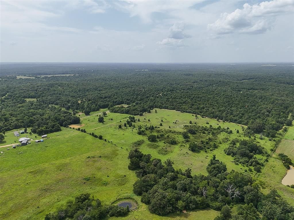 225 Private Road 2026 Buffalo, TX 75831 - Thumbnail 3