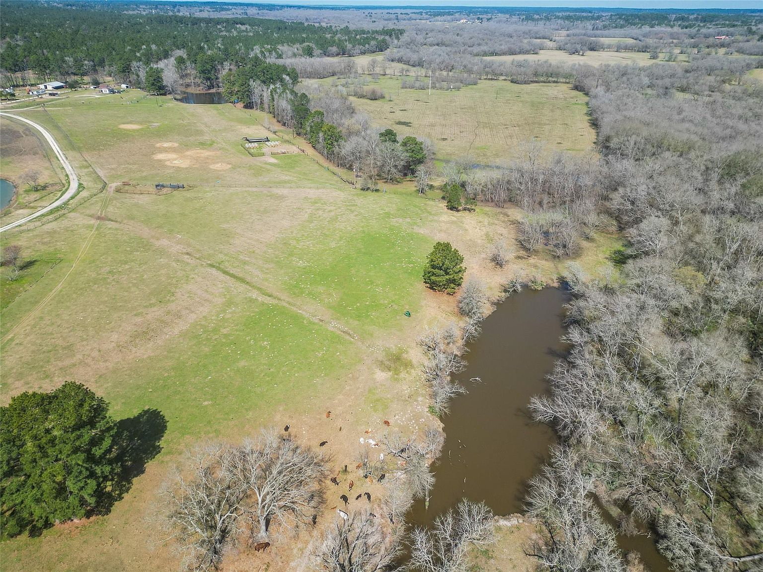 12039 Amberwood Dr Montgomery, TX 77356 - Thumbnail 3