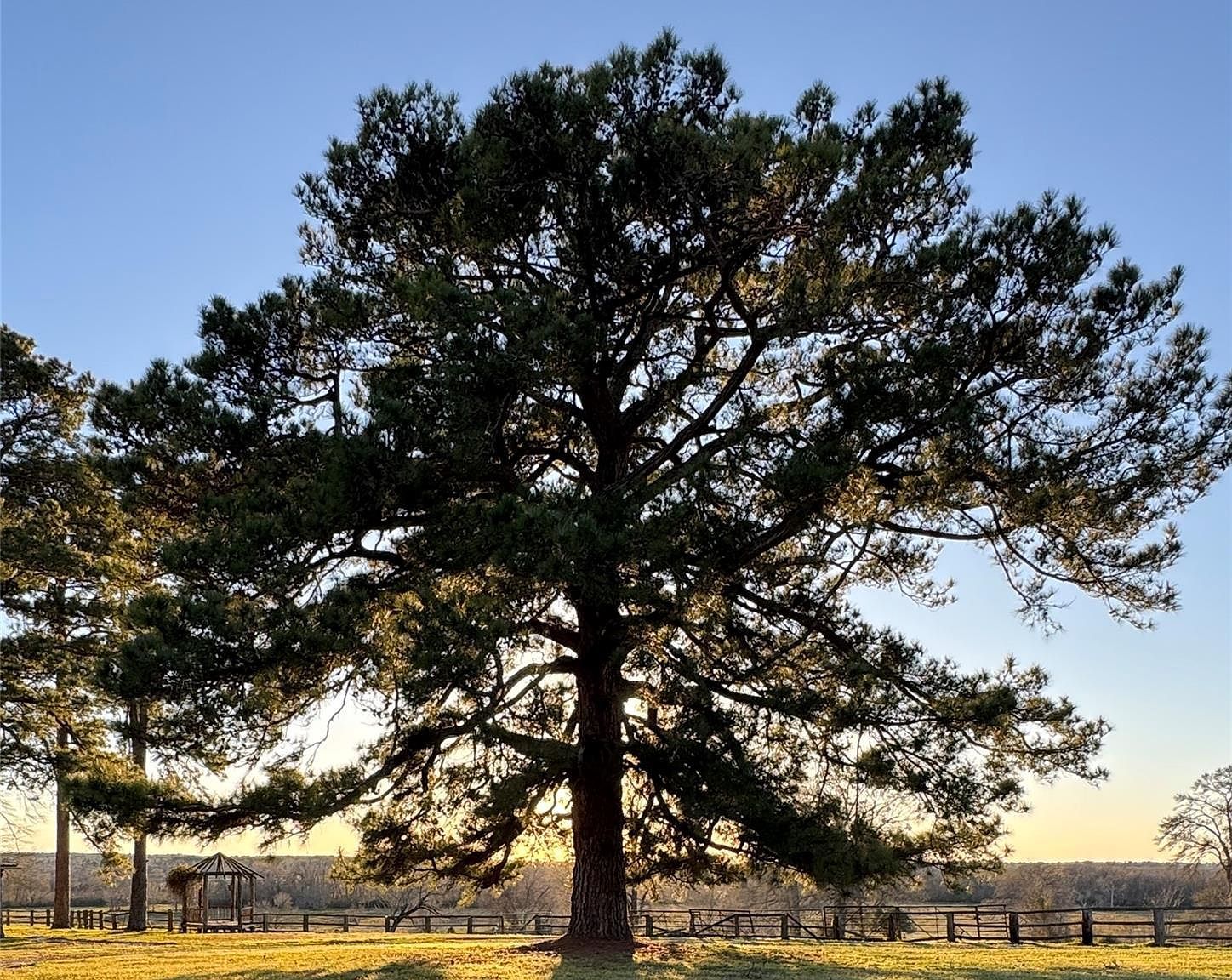 75 Spring Branch Rd Montgomery, TX 77316 - Thumbnail 3