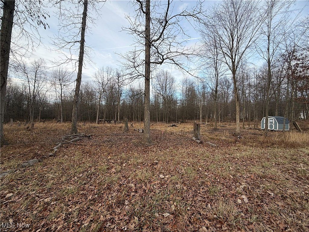 W Nevada Ave Sebring, OH 44672 - Thumbnail 3