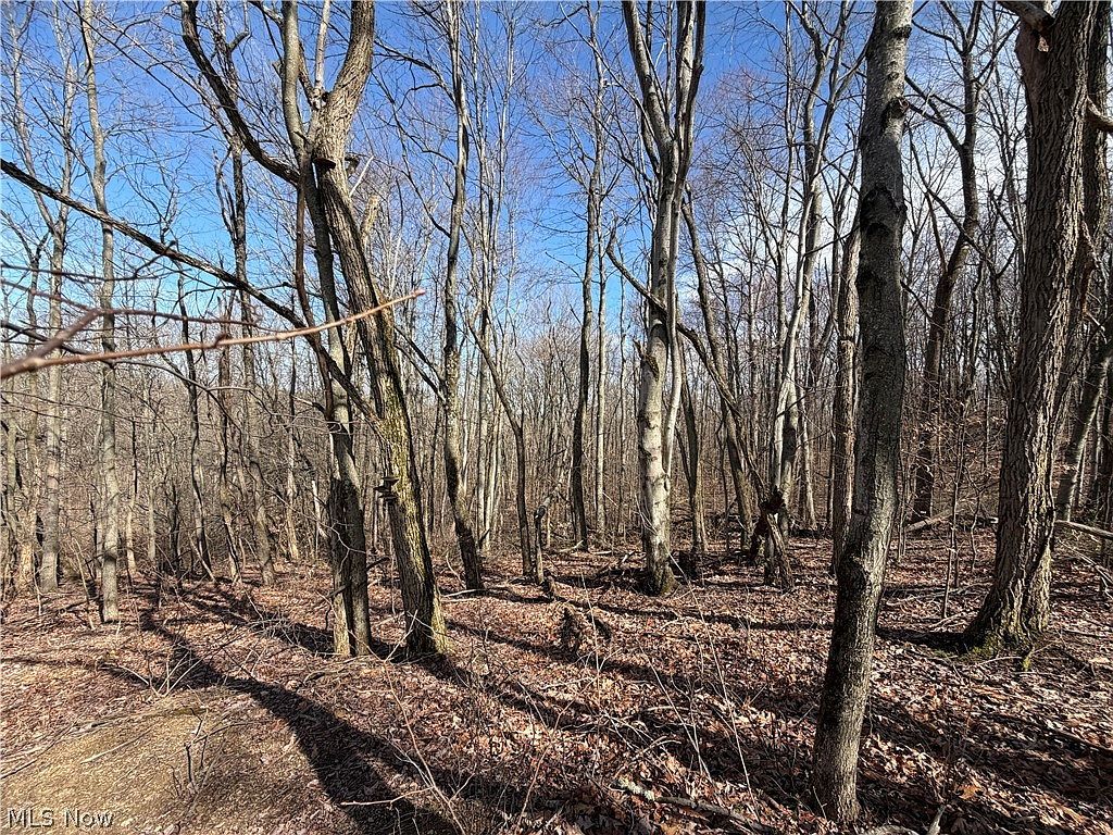 31100 Moravian Trl Tippecanoe, OH 44699 - Thumbnail 3