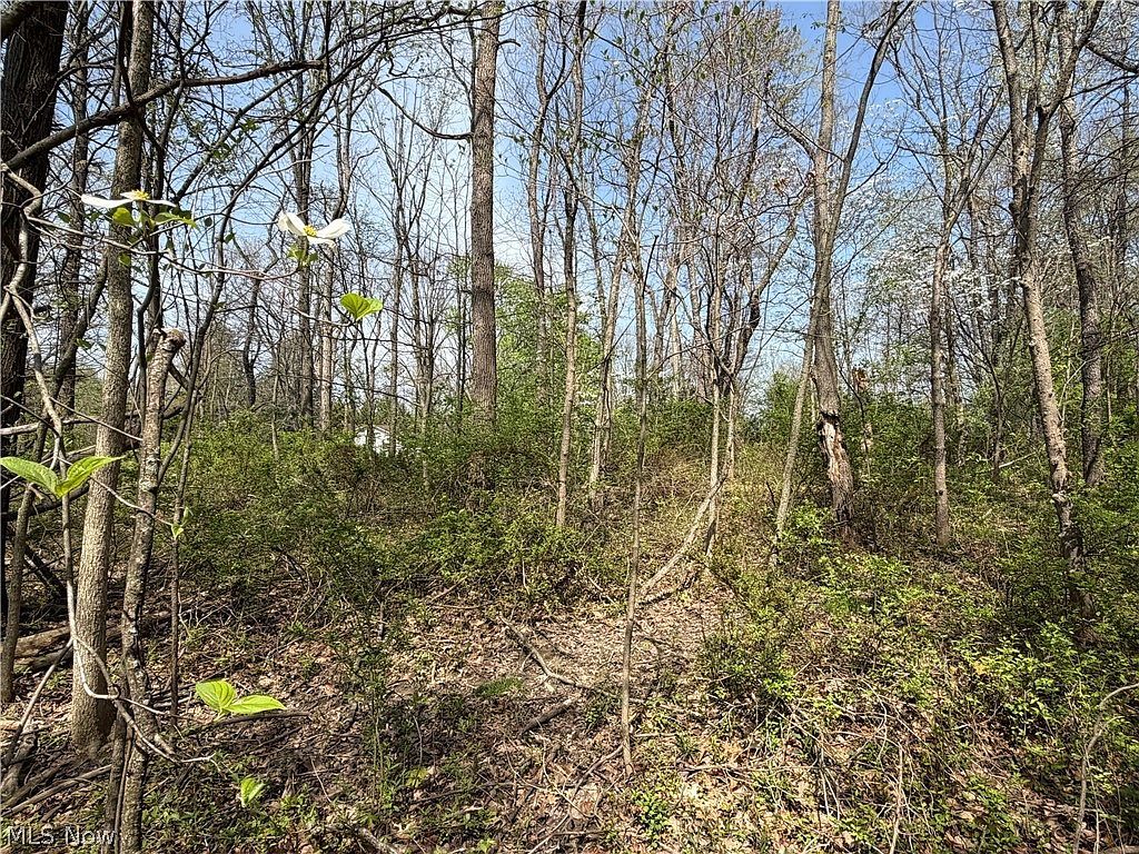 Village St SE Canton, OH 44707 - Thumbnail 3
