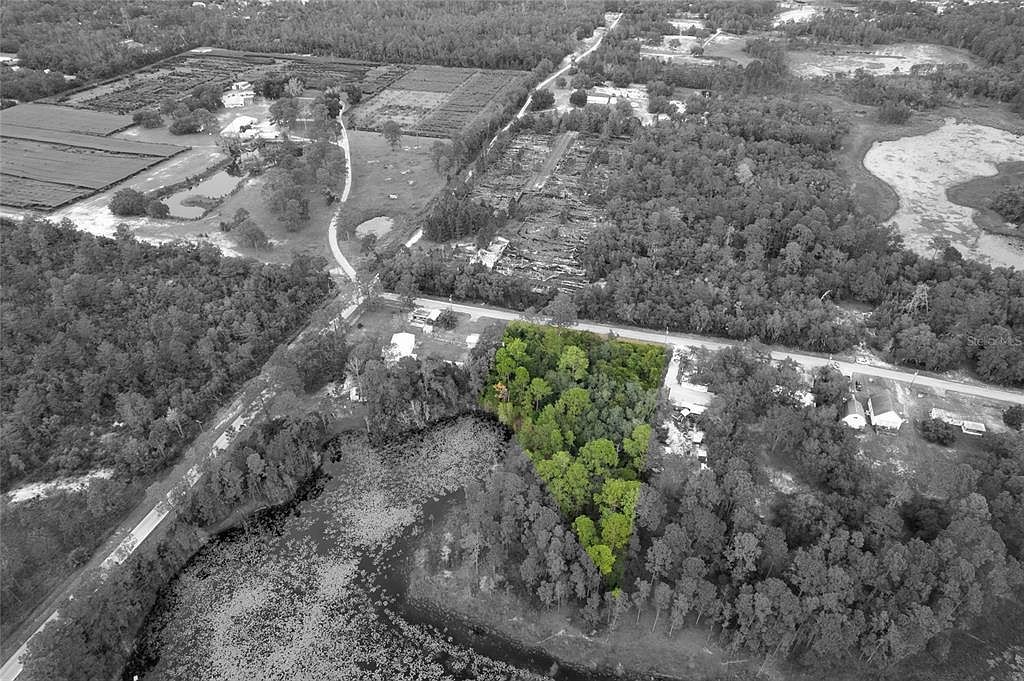 Pinecrest Rd LOT 3 Eustis, FL 32736 - Thumbnail 3