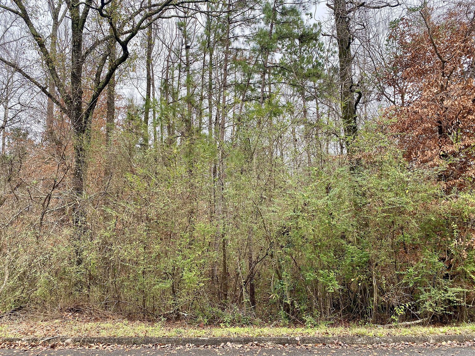LOT 43 Althea Loop Alexander City, AL 35010 - Thumbnail 3