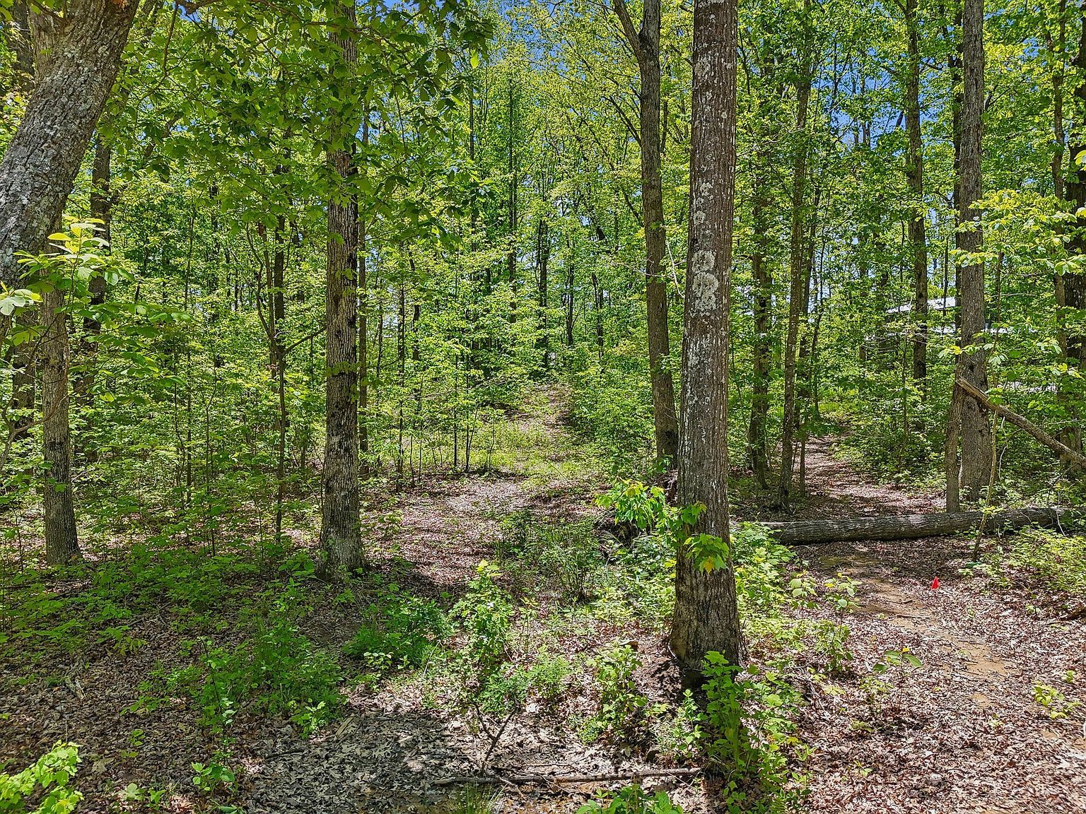 51 Mossy Rock Ln LOT 55 Monteagle, TN 37356 - Thumbnail 3