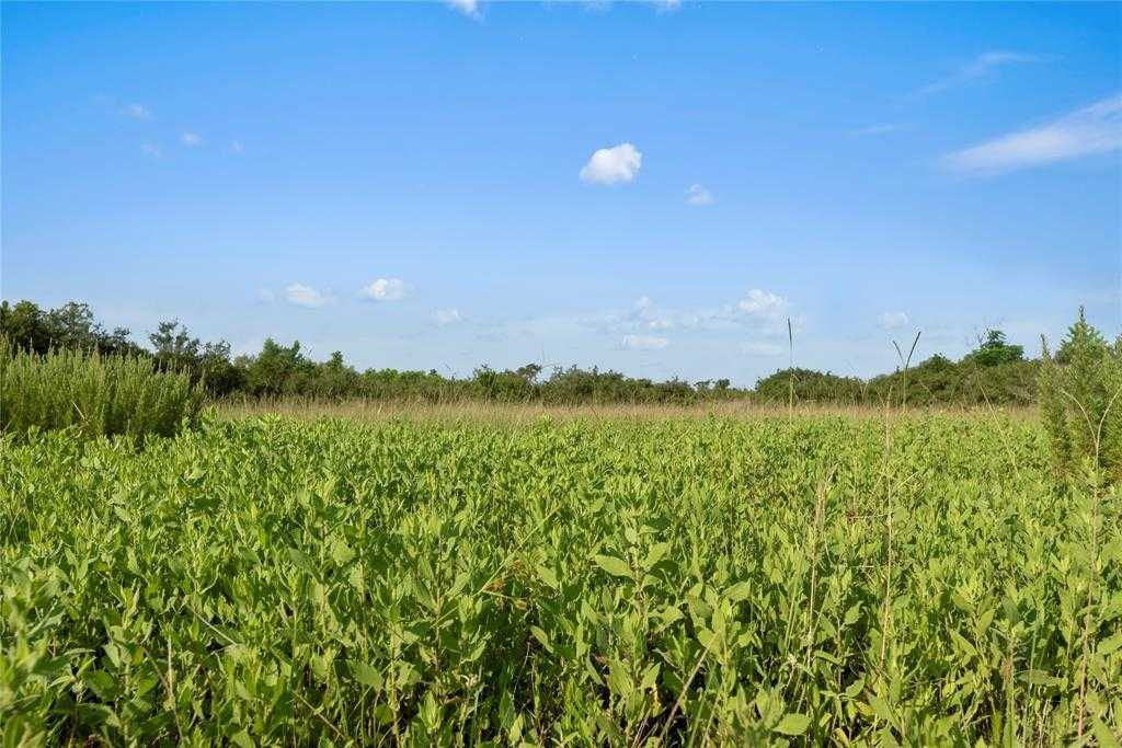 1316 Piney Woods Road, Alleyton, Texas 78935, USA, TX - Thumbnail 3