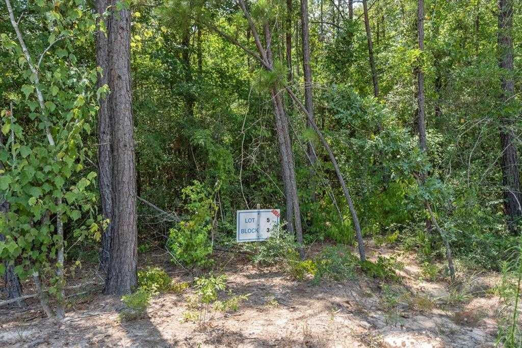 15577 Republic Park Trail, Willis, TX, 77378 - Thumbnail 4