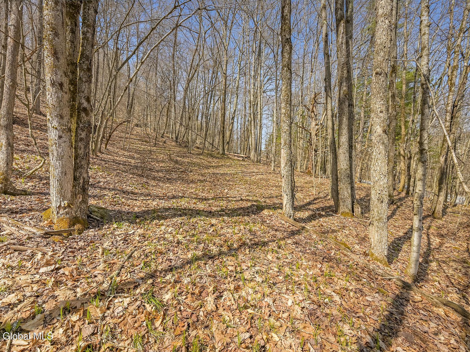 L9113 Lutheranville Rd E Worcester, NY 12197 - Thumbnail 3