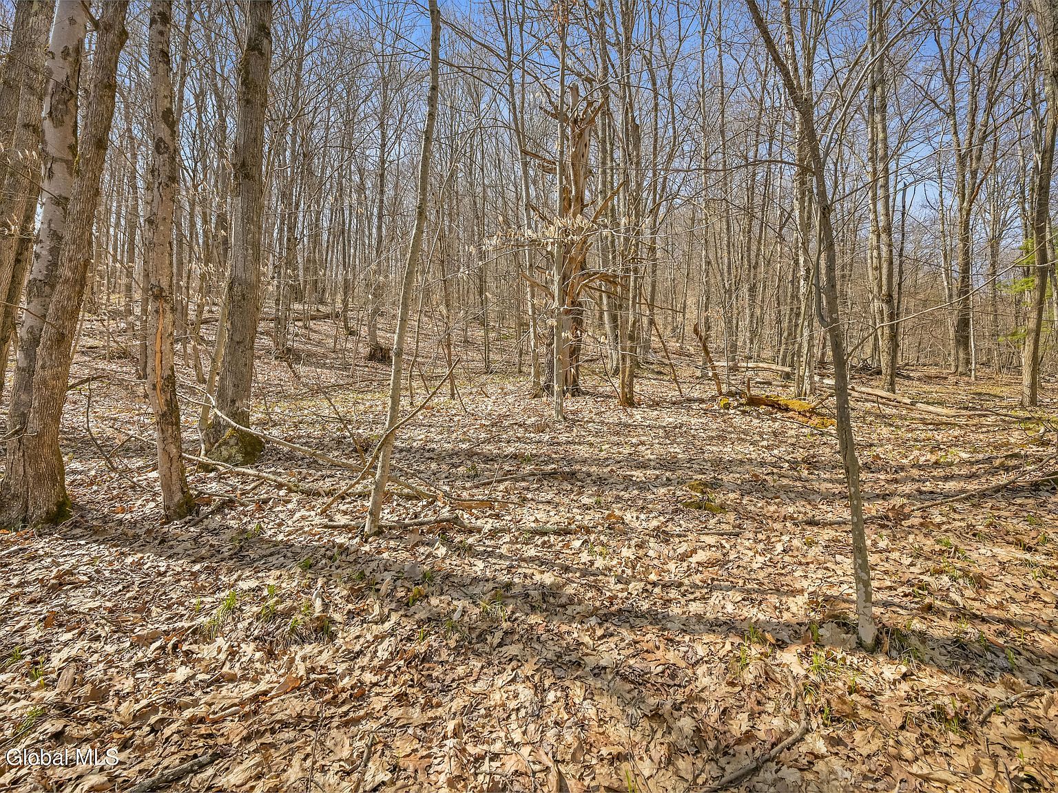 L9114 Lutheranville Rd E Worcester, NY 12197 - Thumbnail 3