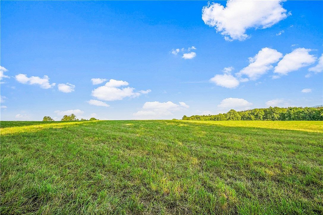 153 Stone Ridge Dr Charlotteville, NY 12036 - Thumbnail 3