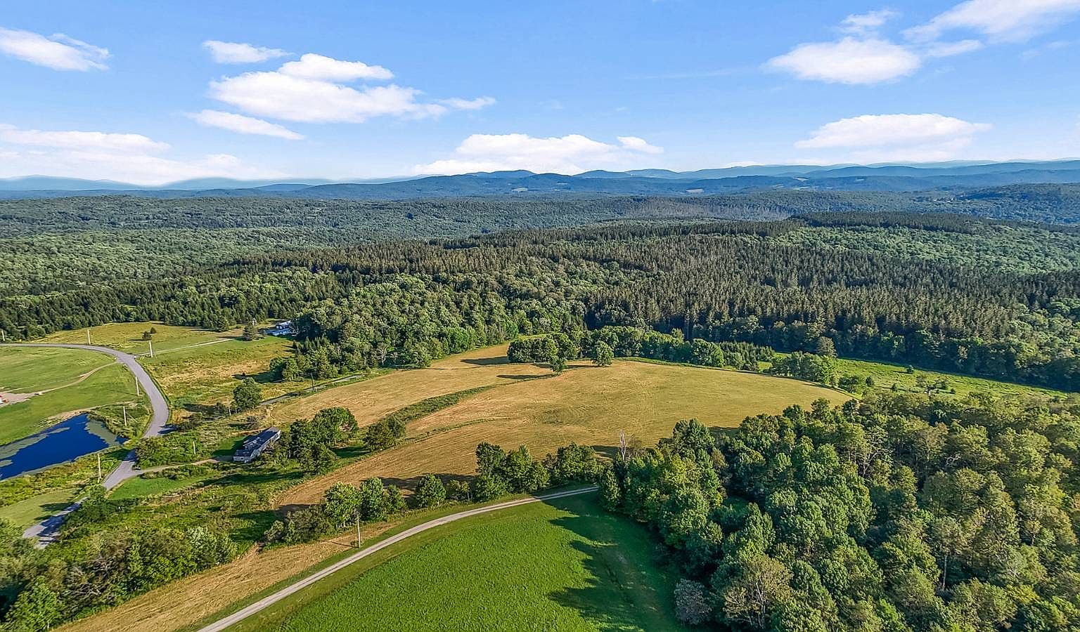 137 Stone Ridge Dr Charlotteville, NY 12036 - Thumbnail 3