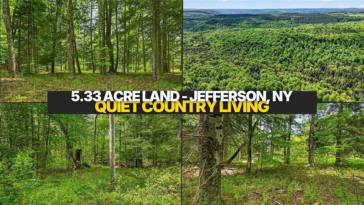 L16 Crystal Brook Path Jefferson, NY 12093 - Thumbnail 3
