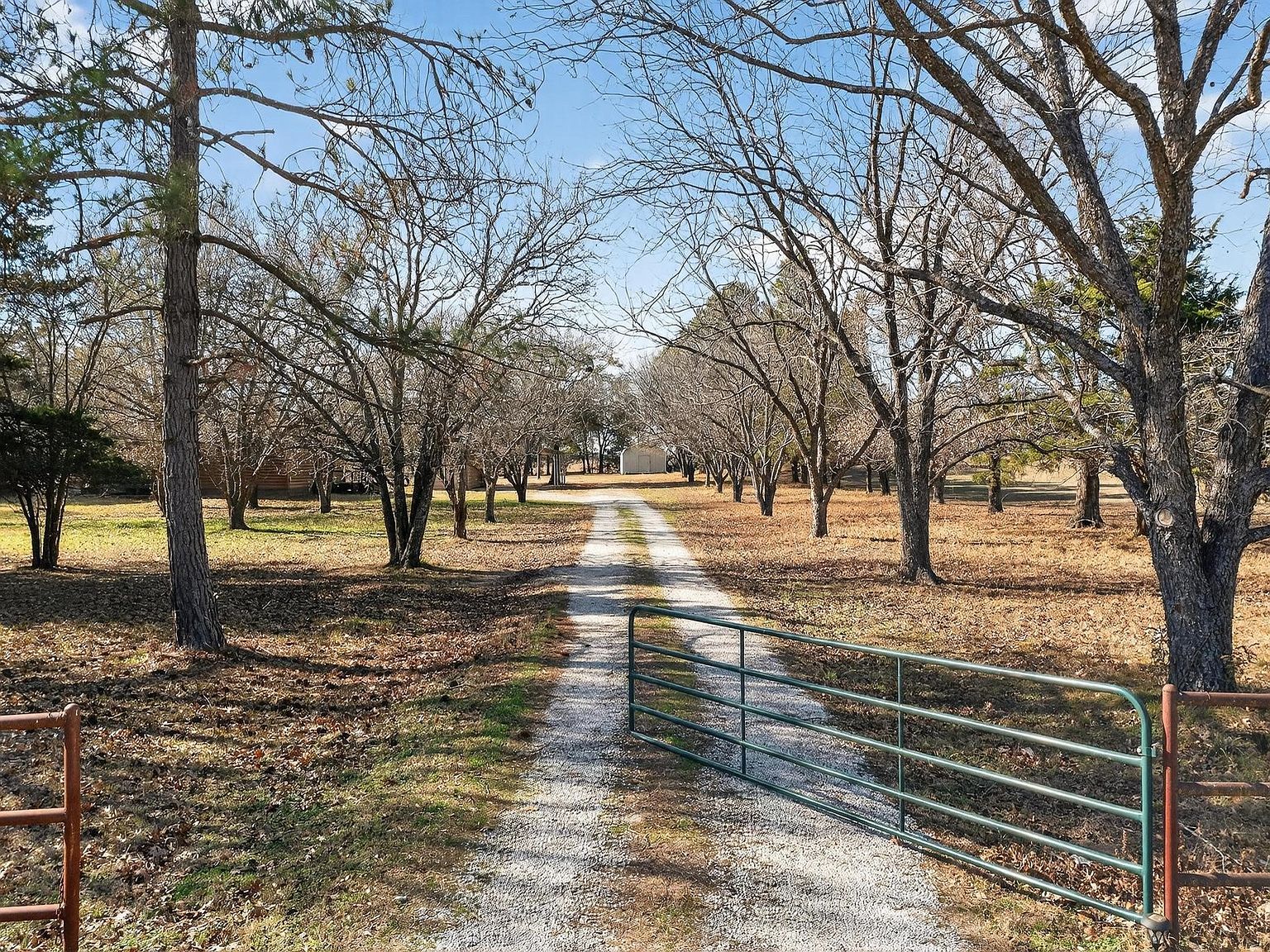 623 Rs County Rd #1250 Emory, TX 75440 - Thumbnail 3