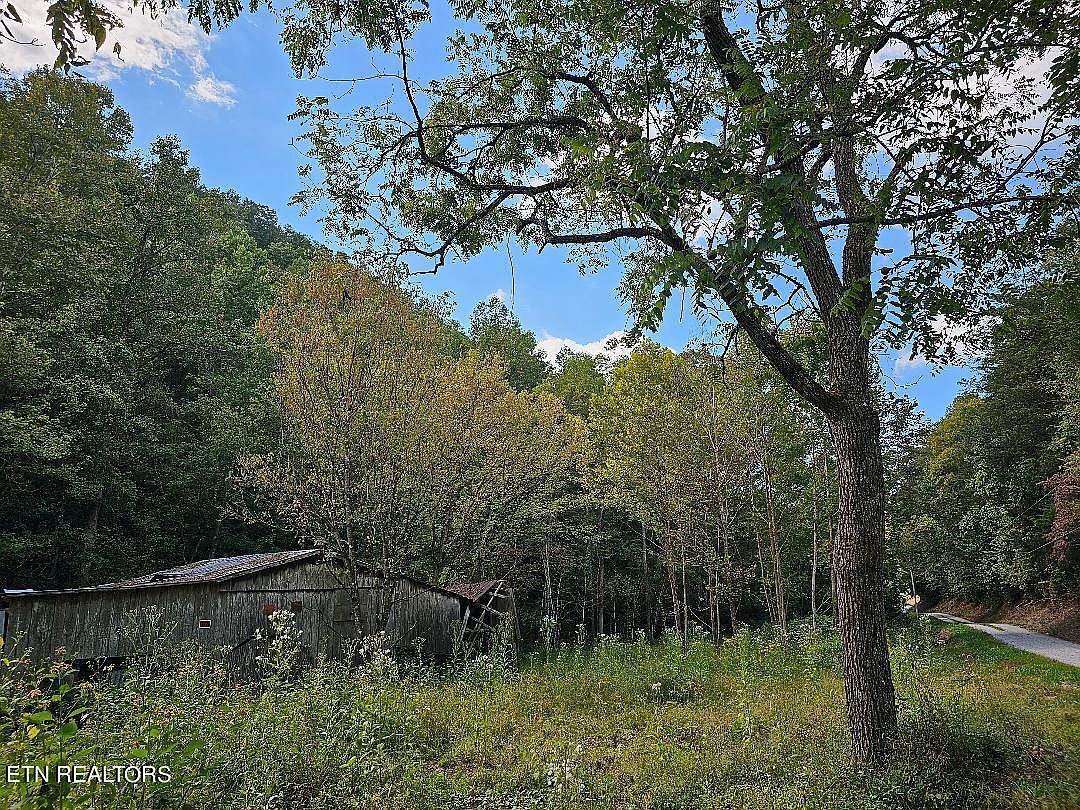 118AC Mill Hollow Rd Tazewell, TN 37879 - Thumbnail 3
