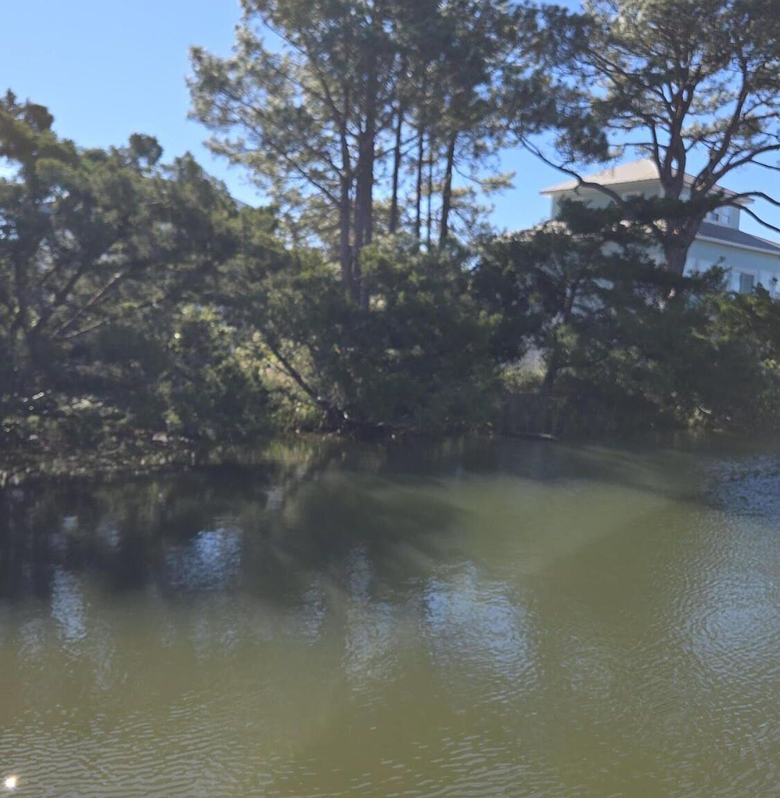 121 Harbour Key Dr Saint Helena Island, SC 29920 - Thumbnail 3