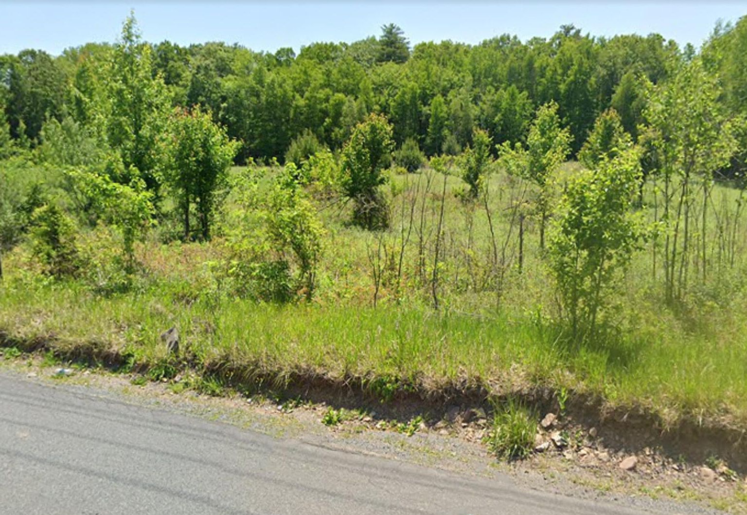 45022 Mountain Rd Stroudsburg, PA 18360 - Thumbnail 3