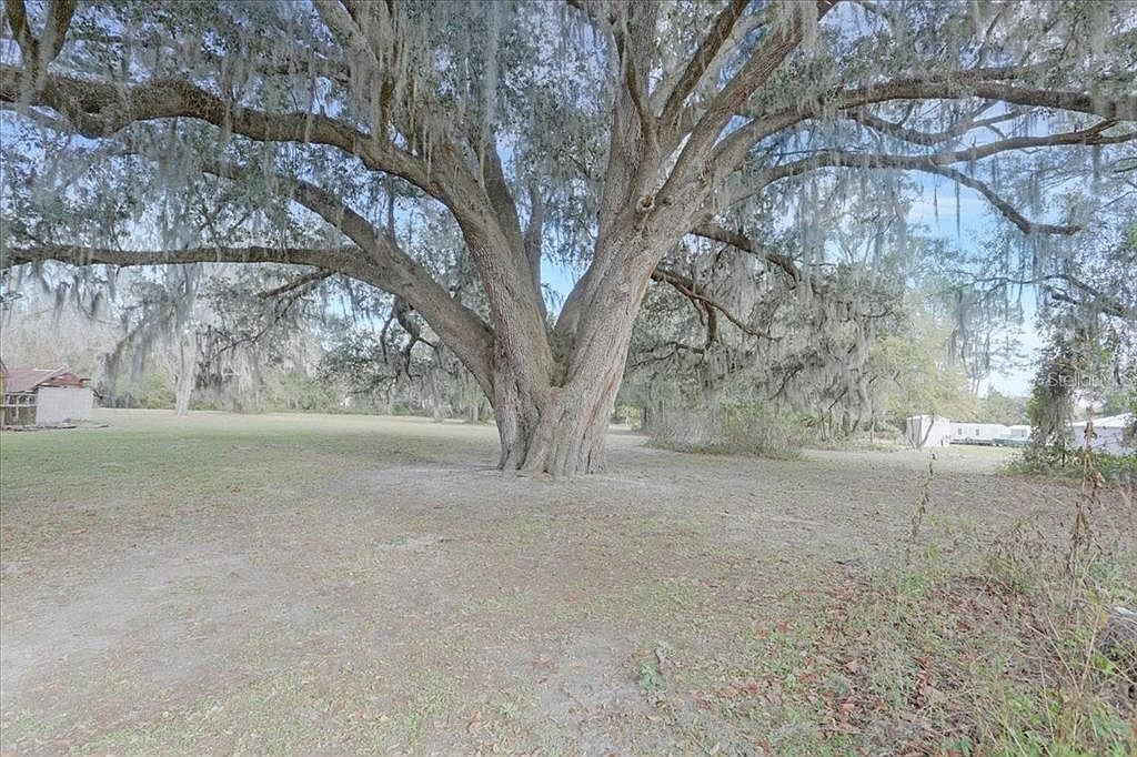 SW County Road 791 LOT 14 Lake Butler, FL 32054 - Thumbnail 3