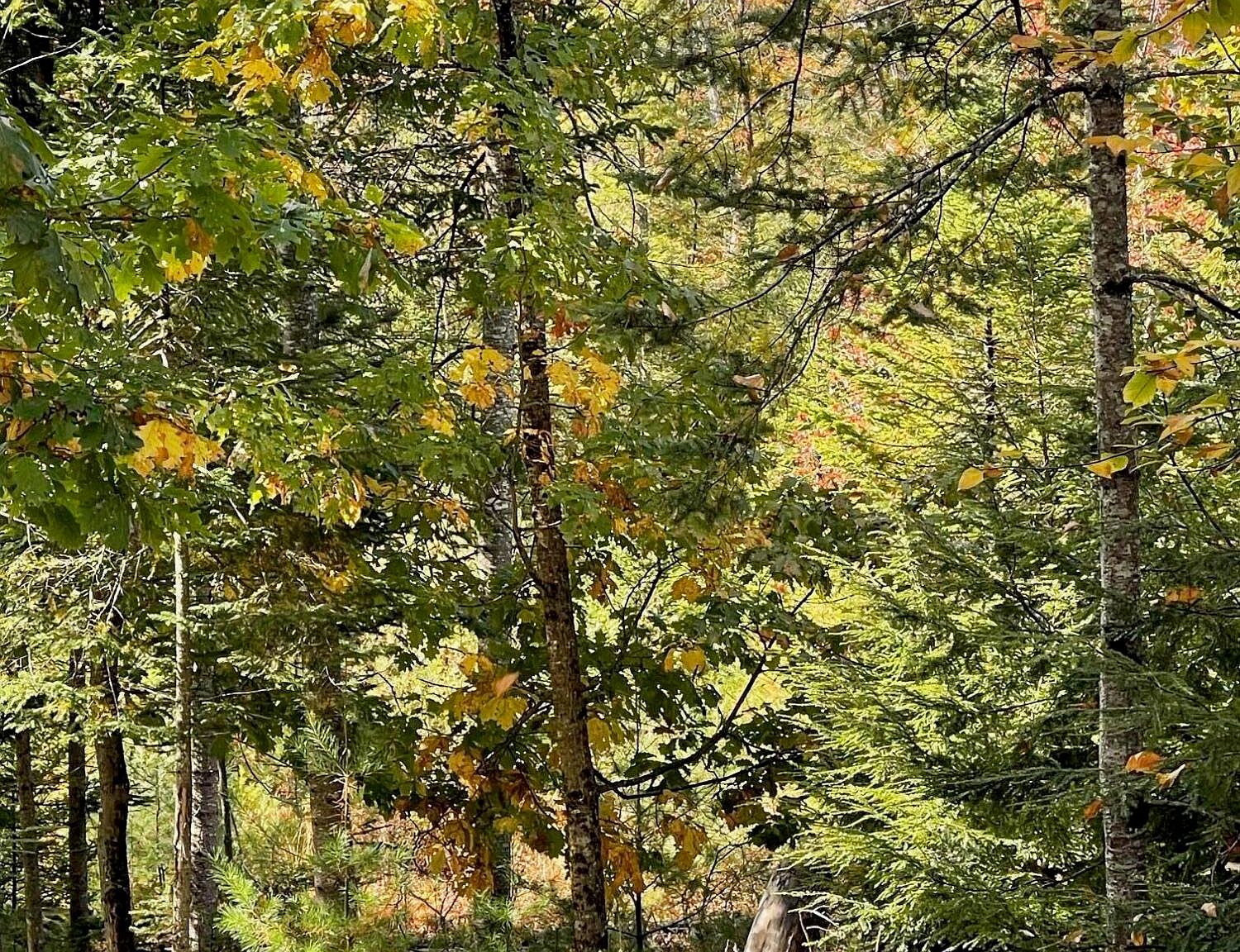 7 Naples Rd Harrison, ME 04040 - Thumbnail 3