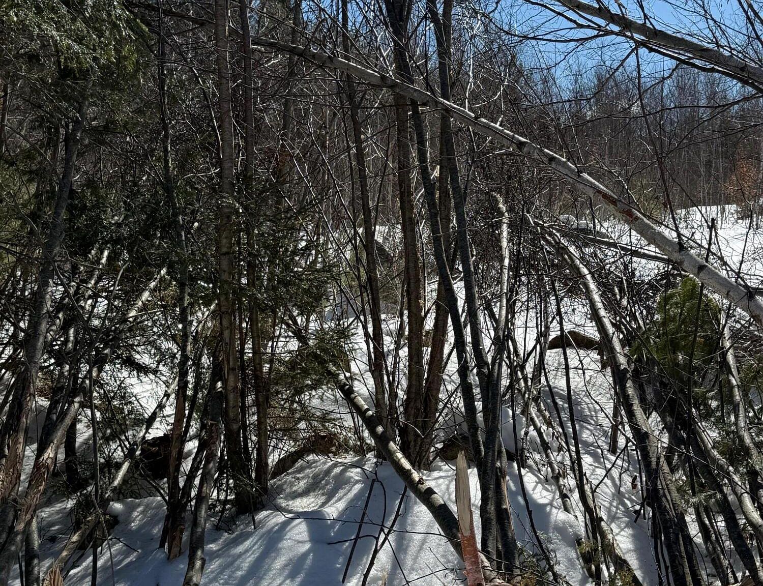 0 Hawk Meadow Rd Waterford, ME 04088 - Thumbnail 3