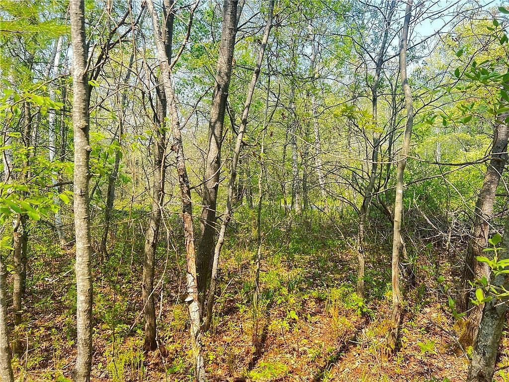 LOT 9 26th St Chetek, WI 54728 - Thumbnail 3