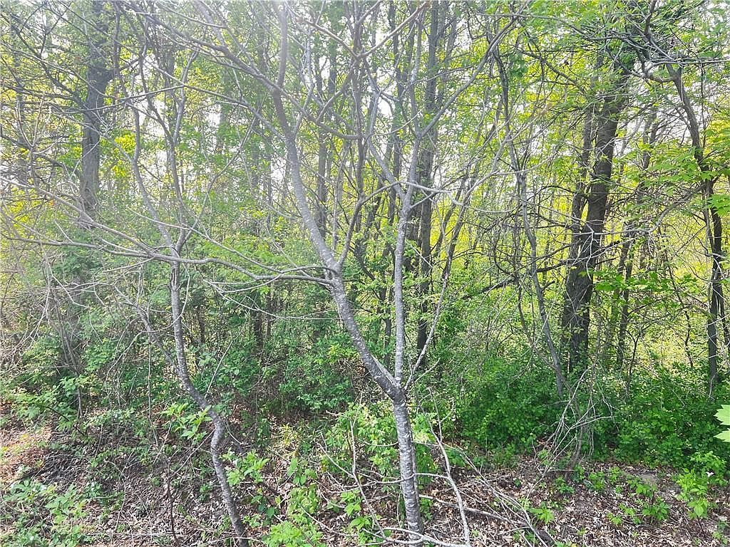 LOT 6 26th St Chetek, WI 54728 - Thumbnail 3