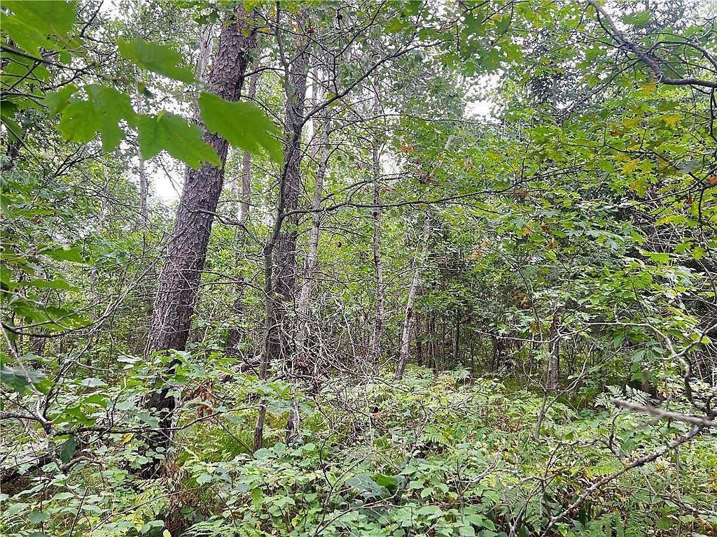 LOT 1 E County Road T Gordon, WI 54838 - Thumbnail 3