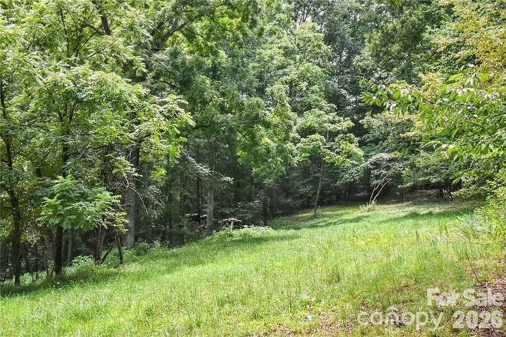 19 Laurel Loop Rd Fairview, NC 28730 - Thumbnail 3