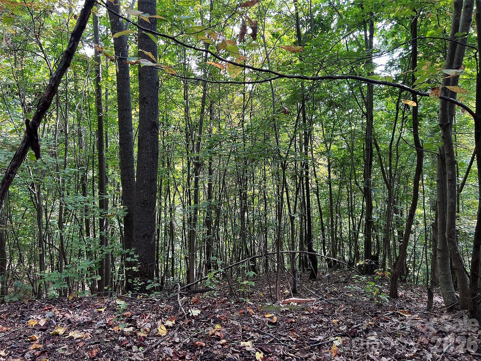 0 Old Forge Dr #94 Bostic, NC 28018 - Thumbnail 3