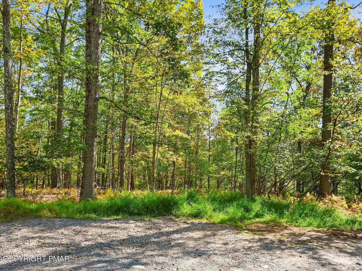 Spring Run Dr #17 Cresco, PA 18326 - Thumbnail 3