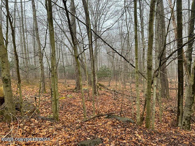 Lookout Point Rd Lot 91 Canadensis, PA 18325 - Thumbnail 3