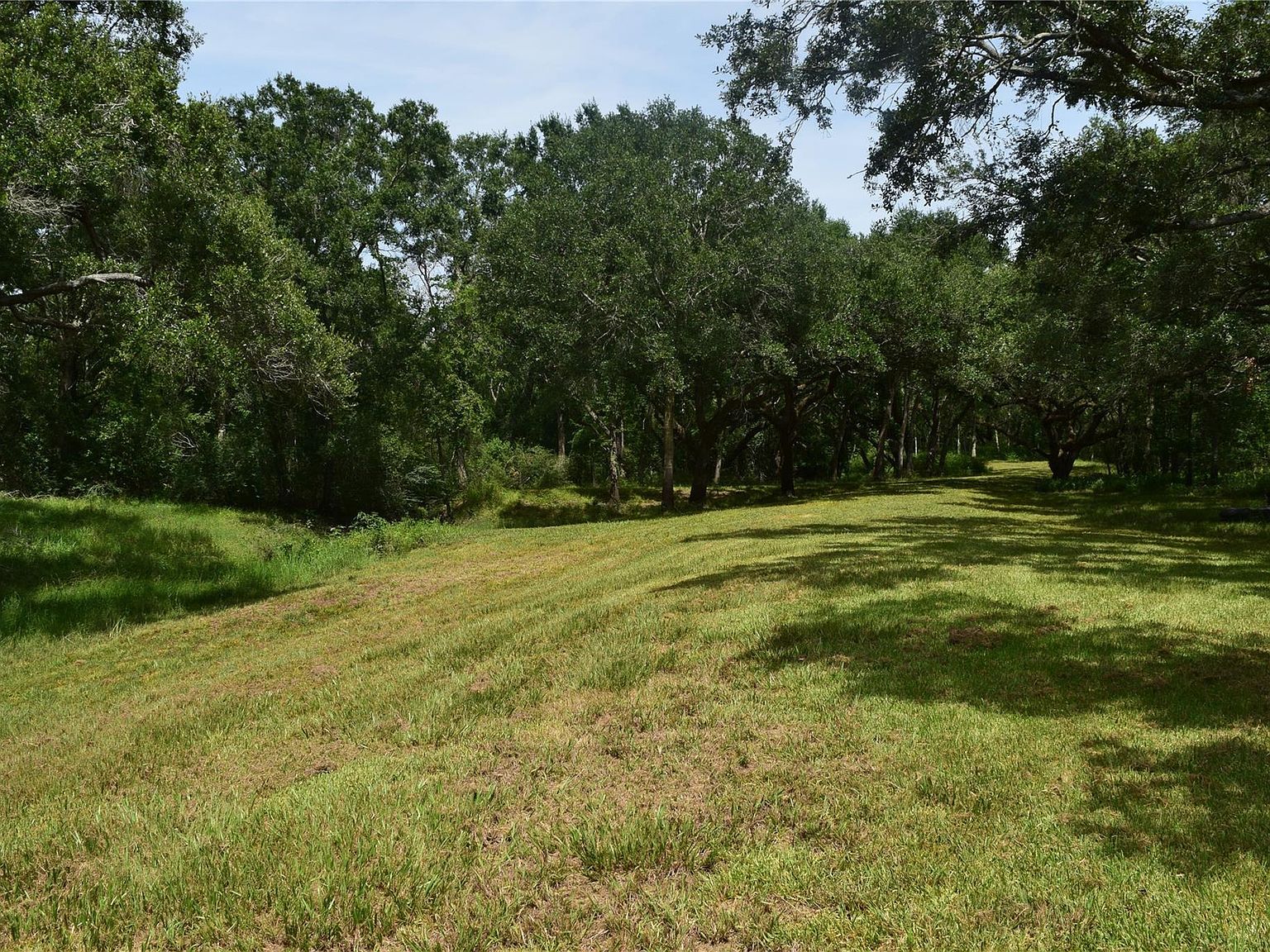 0 County Road 121 Rosharon, TX 77583 - Thumbnail 3