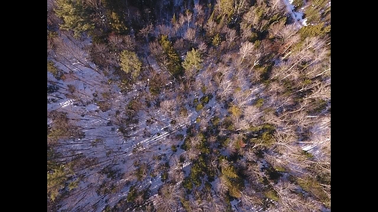 0 Waterford Hollow Ln Saint Johnsbury, VT 05819 - Thumbnail 3