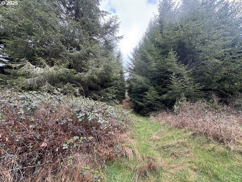 0 Wildberry Rd Coos Bay, OR 97420 - Thumbnail 3
