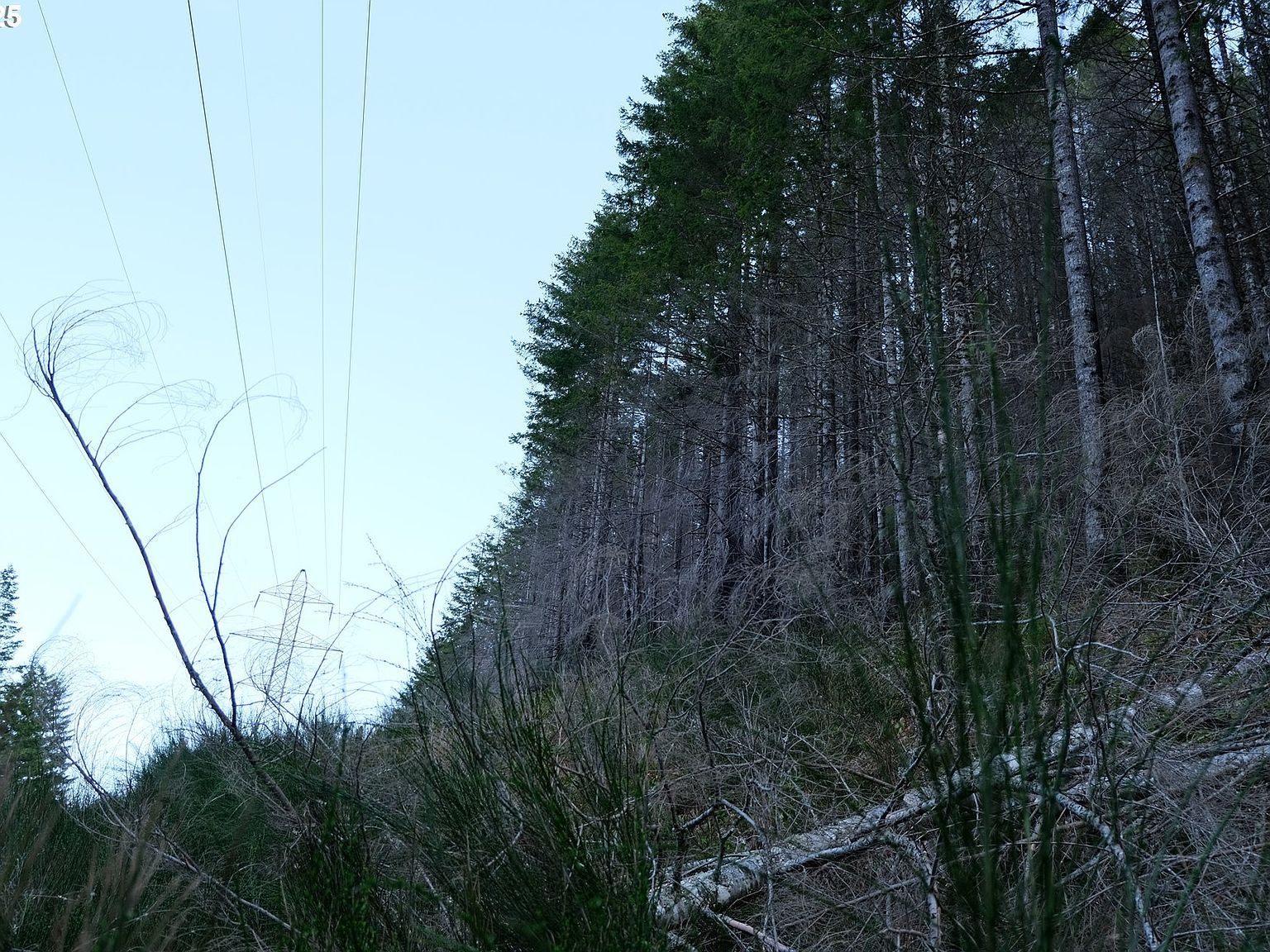 0 Nf #2212 Gates, OR 97346 - Thumbnail 3